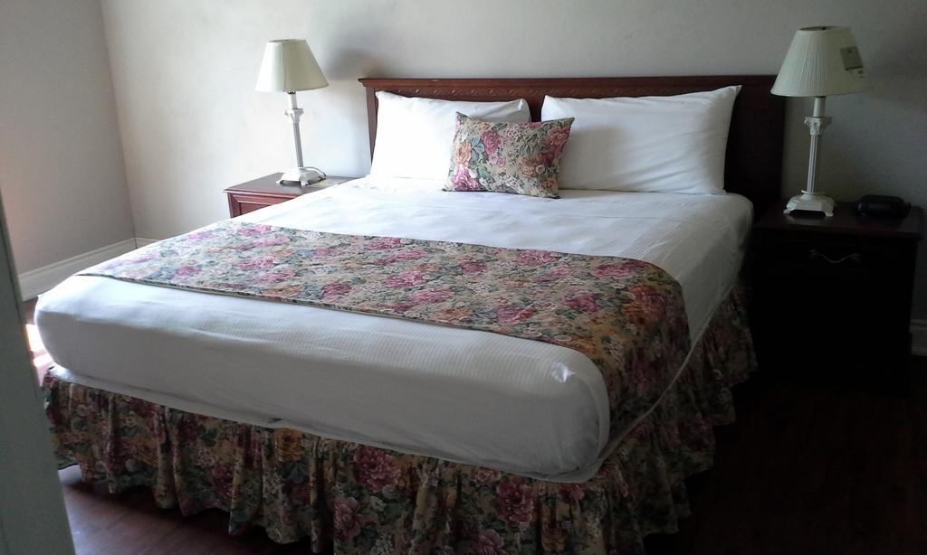 Guest House Villa Mishkan Runaway Bay Room photo